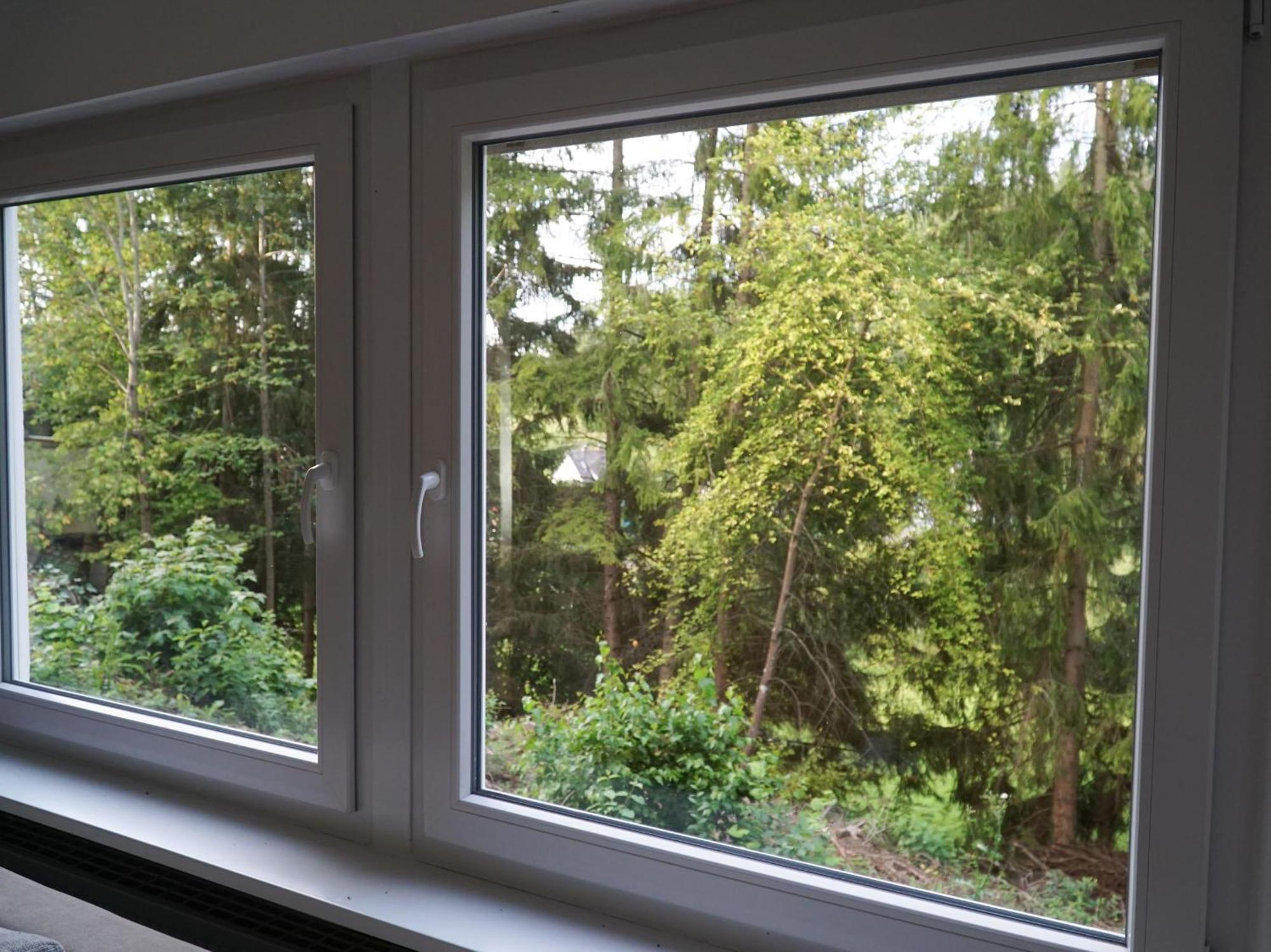 Am Eschachwaeldle Appartement Niedereschach Buitenkant foto